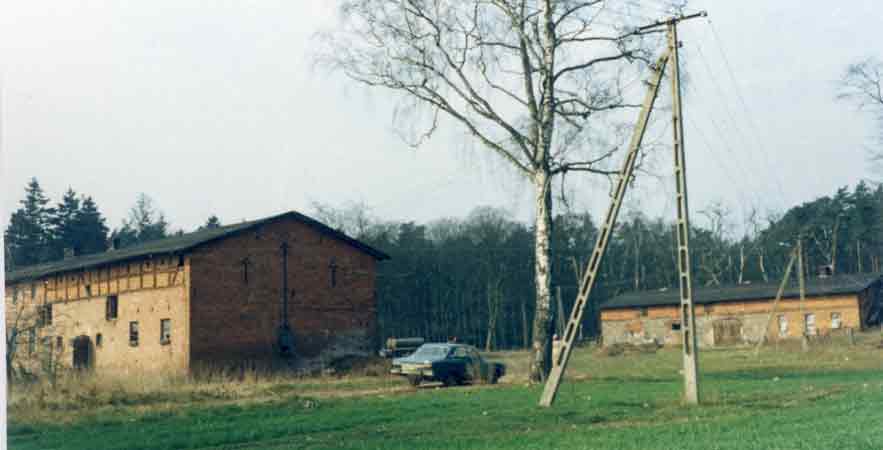 Bucheneck